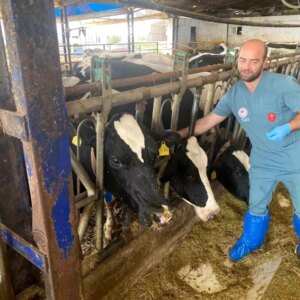 aydinda sap hastaligina asi calismalari devam ediyor 7NBRwnrm