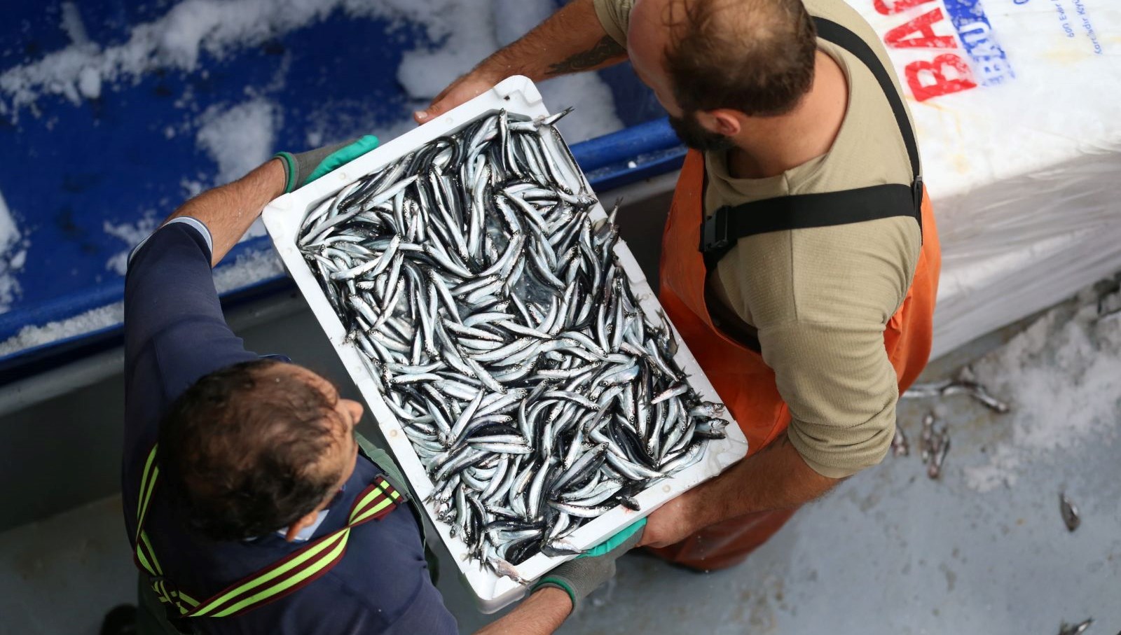 sinopta balikci tezgahlari hamsiyle doldu TXL7QbVe