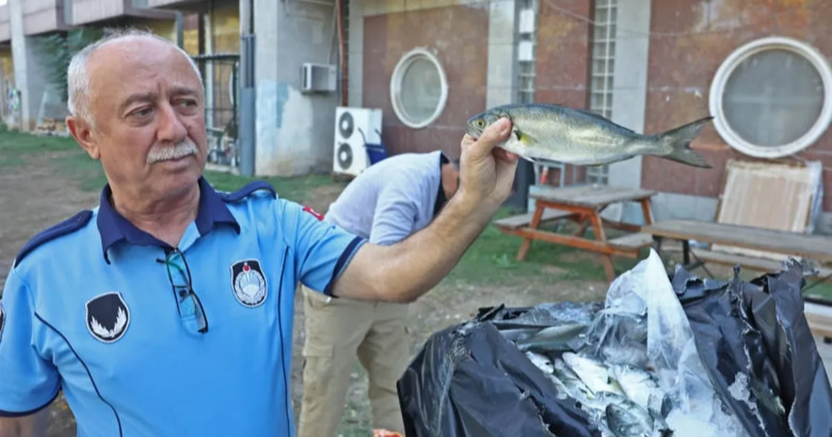 antalya buyuksehir zabitasindan otogarda usulsuz tasimaciliga operasyon 8ahjkYPq.webp