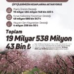 ciftcilere-195-milyar-tl-destek-odemesi-efNaEeIQ