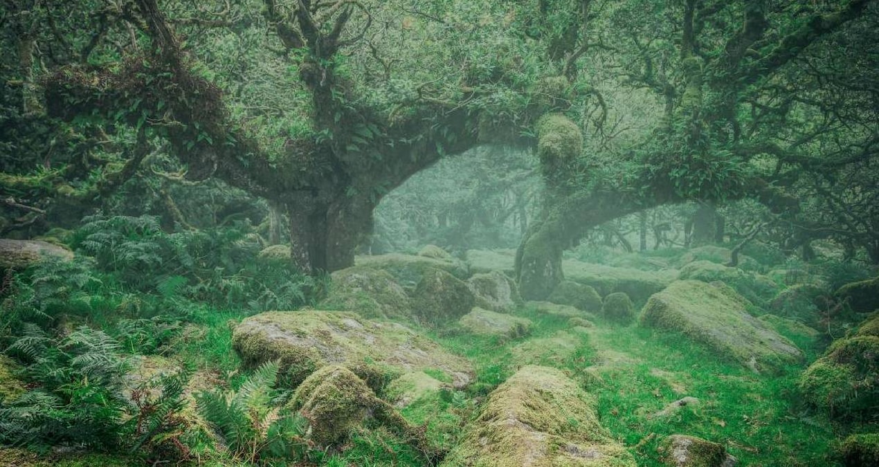 Doggerland’da Binlerce Yıl Önce Kaybolan Hazine Gün Yüzüne Çıktı